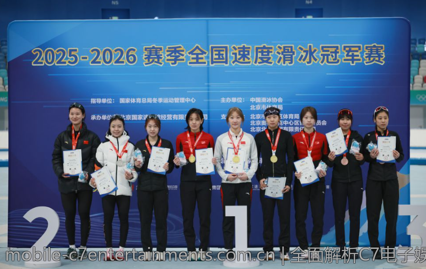 全面解析C7电子娱乐模拟器的玩法特点