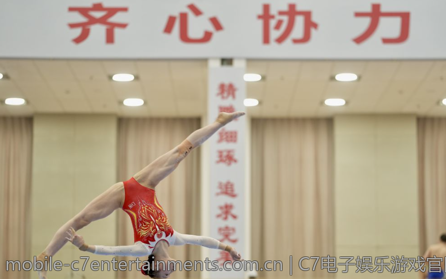 C7电子娱乐游戏官网的玩家忠诚度计划